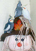 Tiels