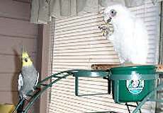 Sidney and Kirby
